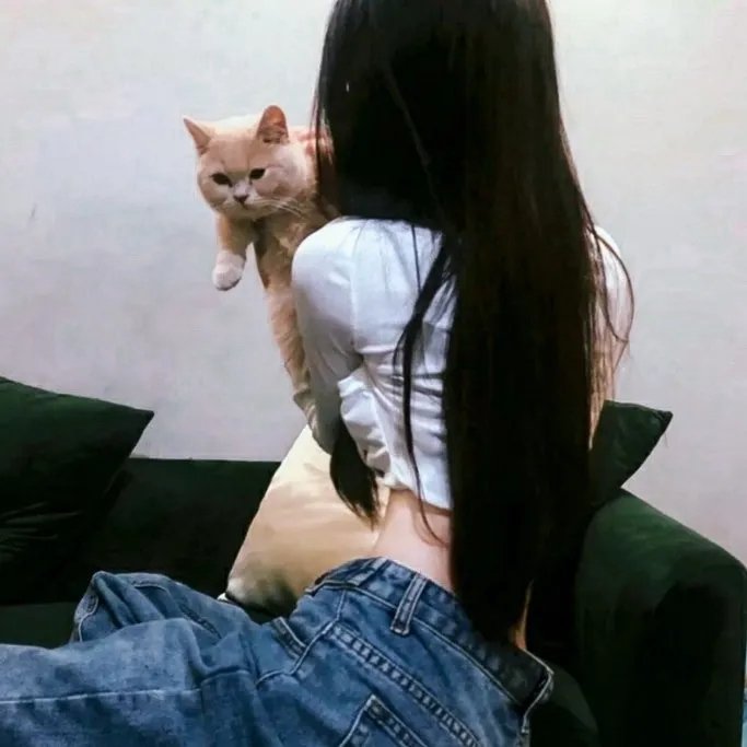 狐门秘事第一季